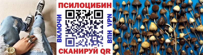 Галлюциногенные грибы Psilocybe  blacksprut ссылка  Знаменск 