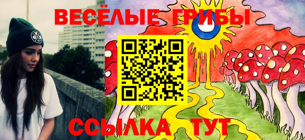 Галлюциногенные грибы мухоморы  Галлюциногенные грибы прущие грибы  Вход с VPN  Знаменск 